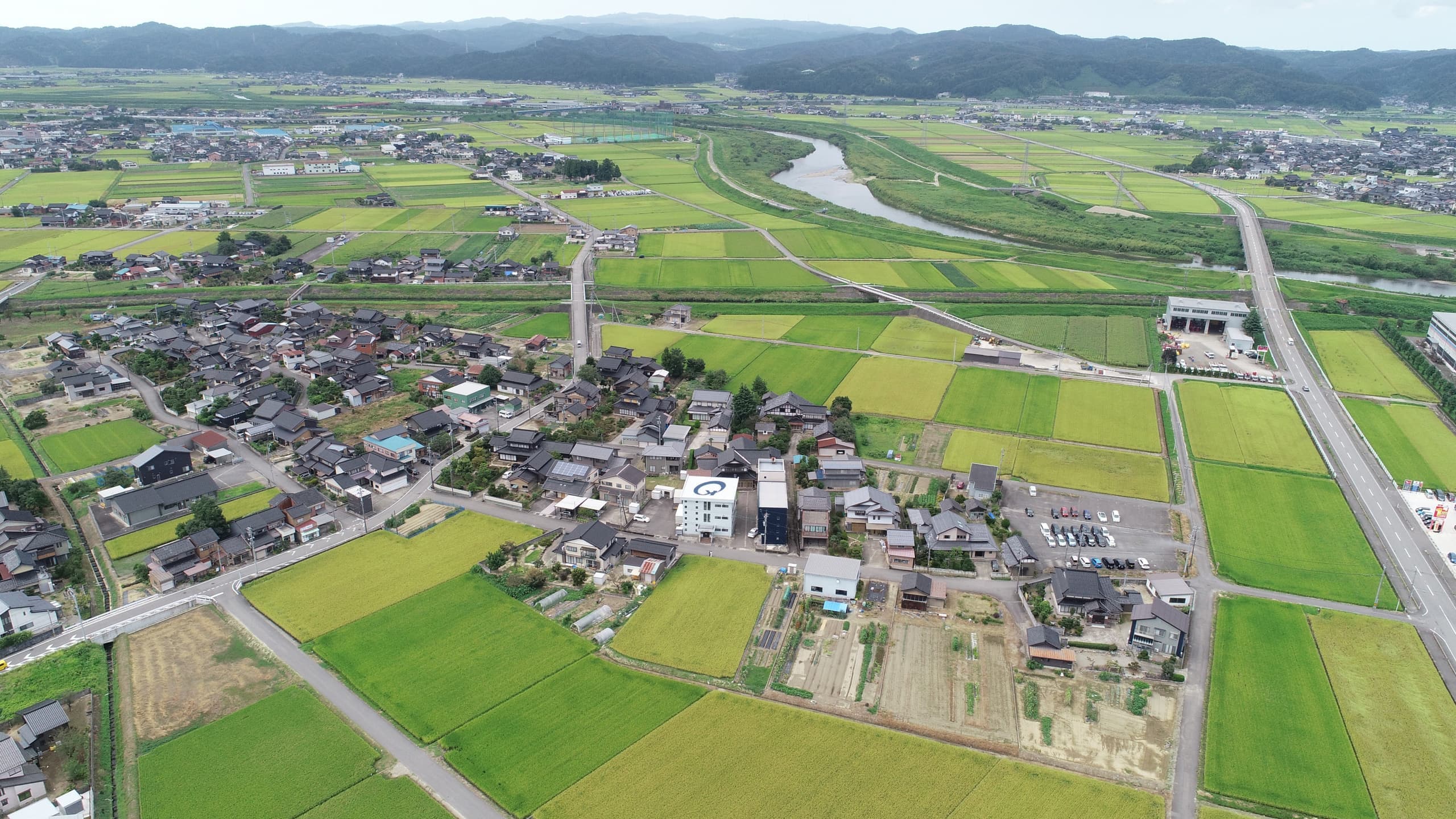 dji_0009.jpg
